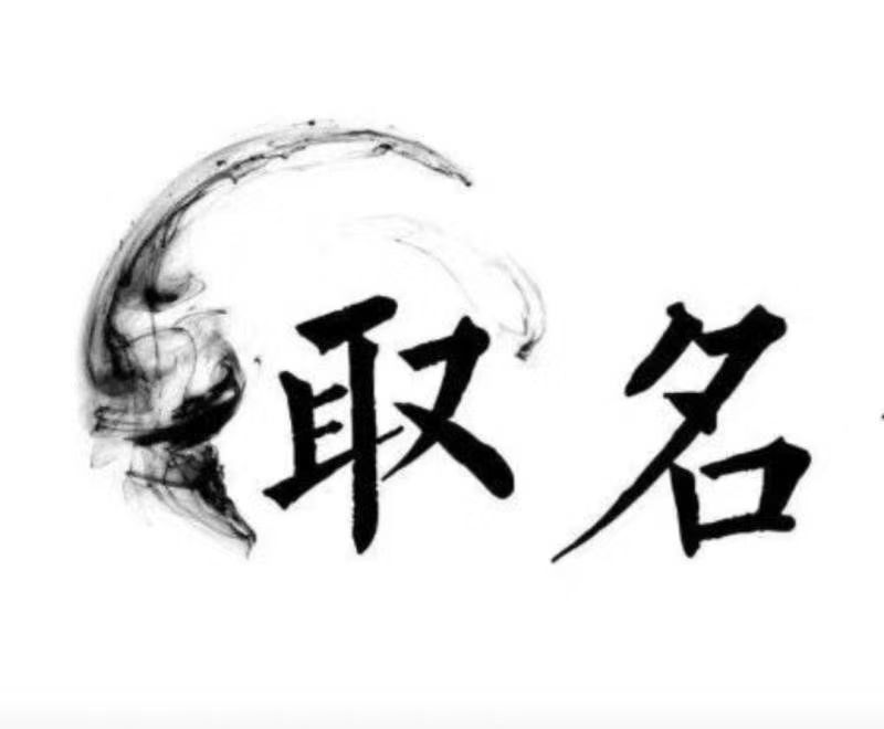  林甸宝宝取名 大师一对一人工起名
